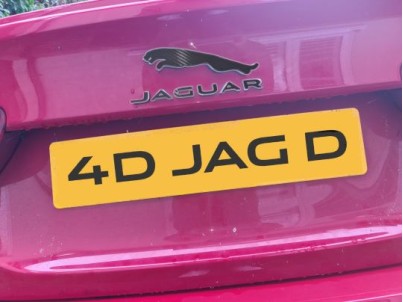 Jaguar Inspired 4D Decals and Emblems